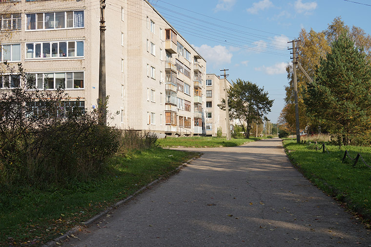 Дома на улице Центральной в селе Шухободь